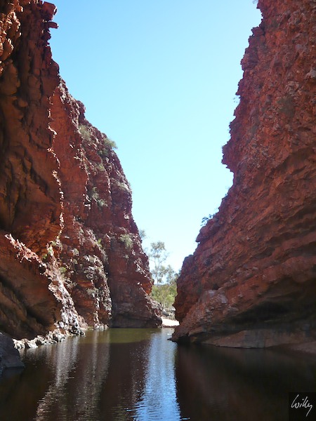 AustraliaAdelaide 10  092